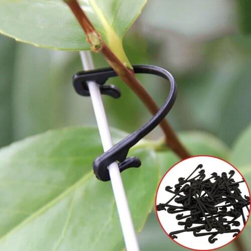 50pcs Vines Fastener Tied Clips Buckle Lashing Tool Vegetable Grafting Support Clip Garden Plant Vegetable Fixed Hook Hold