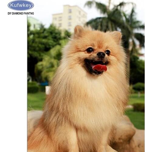 Diamond mosaic Pattern Needlework Diy Diamond Painting Cross Stitch bulldog 5D Diamond Embroidery Mosaic Crafts Dog Pomeranian