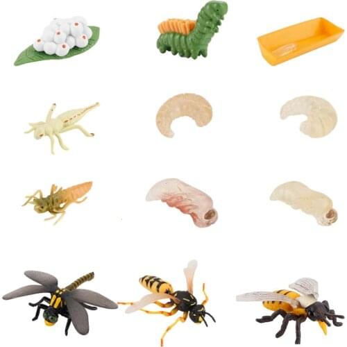 Bugs Figure Toy Set Insect Animals Model Simulation Ladybug Growth Cycle Action Figure Childrens Cognitive Simulation Model Kit