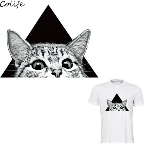 Clothes Stickers cat Eyes Print On T-Shirt DIY Accessory New Design Clothes Decoration Washable Parches Para La Ropa 25x18cm