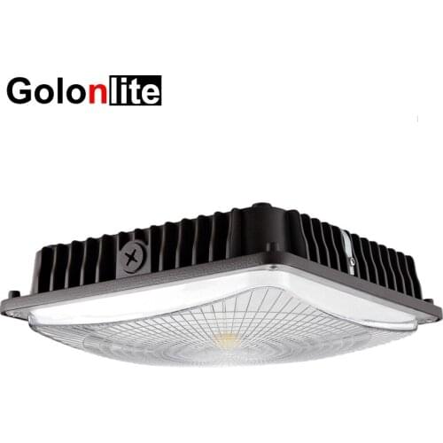 Golonlite 45W 60W LED canopy light for parking lot warehouse factory station store processing workshop IP65 waterproof 100-277V