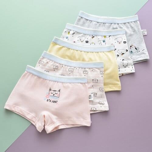 Одежда для девочек HPBBKD China At AliExpress