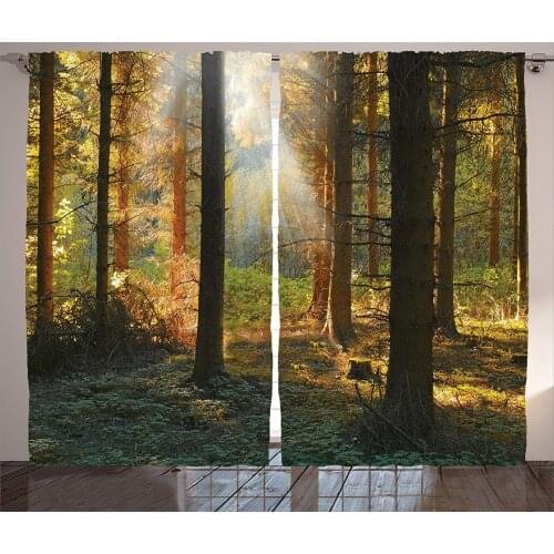 Dining Room Curtains Farm House Sunset in Dark Pine Forest Autumn Foggy Scene with Sunbeams Trunks Shadow Living Room Decor