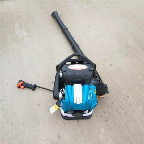 Forest Portable Wind Extinguisher Four-Stroke Gasoline Piggyback Leaf Hair Dryer Using For Plant Protection And Muti Situation