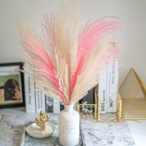 Pink white color Natural pampas grass decor flower beautiful wedding flowers bunch christmas home decor phragmites Tall 17-22