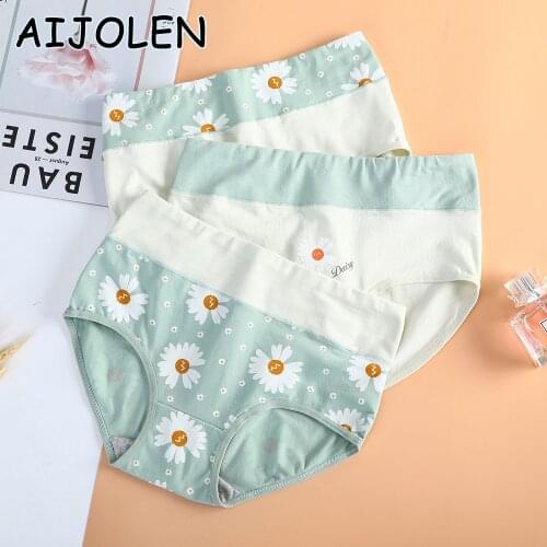 AIJOLEN Pineapple Print Briefs Cute Cotton Soft And Breathable Underpants High-waisted Abdomen Panties