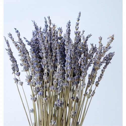 100g Natural Dried Lavender Flowers Bouquet Lavender Bud Lavender Bag Valentines Day Gift Lasting Fragrance