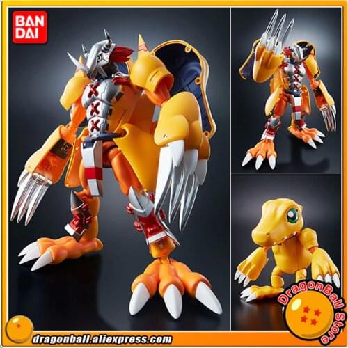 Original BANDAI Tamashii Nations Digivolving Spirits 01 Action Figure - Wargreymon