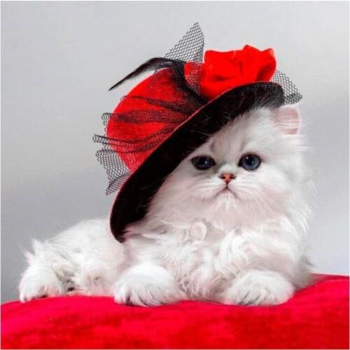 5D DIY Diamond embroidery cat with red hat diamond painting Cross Stitch full square Rhinestone mosaic home decoration