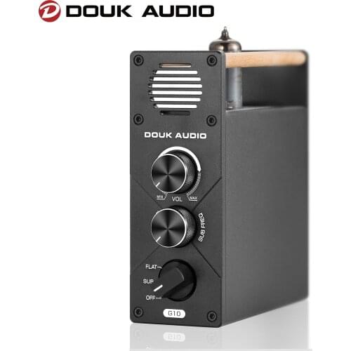 Douk Audio G10 Mini 100W/200W Mono Channel Vacuum Tube Audio Amplifier Full-frequency/Subwoofer Amp