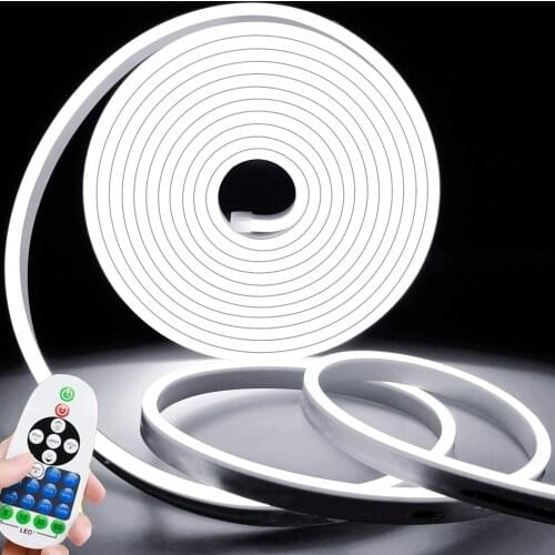 Dimmable Neon Light LED Strip 220V 110V 2835 120Leds Flexible Neon Sign with Dimmer Control Waterproof LED Ribbon Tape LED Rope