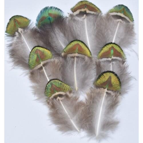 Natural Gold Peacock Feather 3-7CM 1-3inch Pheasant Feathers for Crafts Feathers Decoration Plumas Pluma Feather Top Jewelry DIY