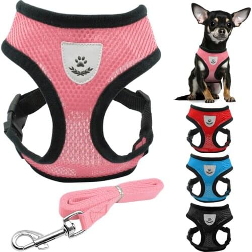 New Product Breathable Nylon Breathable Mesh Pet Pet Cat Harness Leash Collar Leash Dog Ring Cute Cartoon Series Wire Harness ca