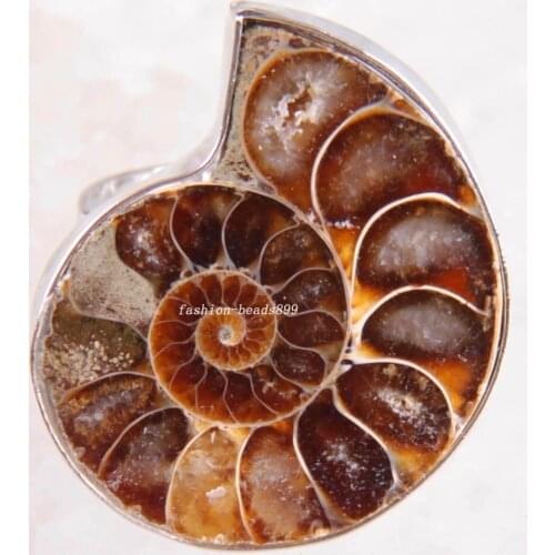 BUYERSHOME Brown Natural Stone Ammonite Fossils Seashell Snail Ocean Reliquiae Conch Animal Adjustable Ring 1Pcs Z272