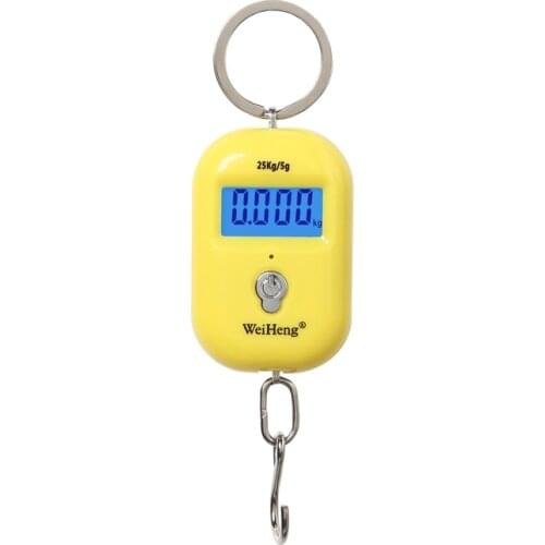 Mini Digital Scale Electronic 25Kg 5g Luggage Hook Pocket Hanging Fishing Scale LCD Kitchen Steelyard Weight with Backlight