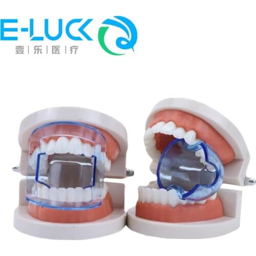 5Pcs Teeth Retractor Orthodontic Teeth Opening Anterior Posterior Cheek Retractor Expander Dental Accessories