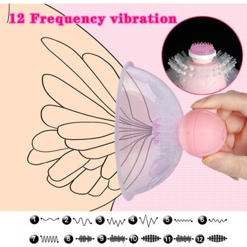 Double Cups Rotated Nipple Vibrator 12-frequency rotating vibration charging breast massager Breast Pump Vibrating Nipple Sucker