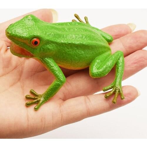 1PC Simulated Frog Lifelike Realistic Plastic Frogs Action Figures Learning Education Toy Frog Realistic for Kid Children Gift