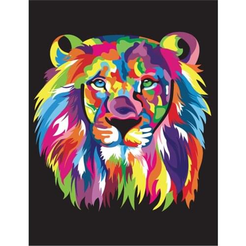 Paint by Numbers Kits for Adults DIY 40CM*50CM ALI_V1_S839