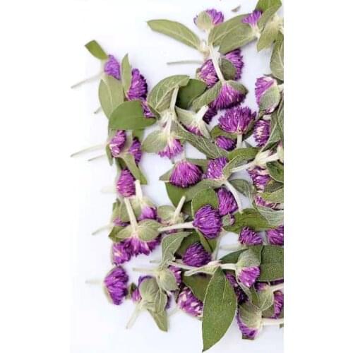 Preserved Flower purple Gomphrena globosa for Crafts Bookmark Card Making Handmade Soap Resin DIY Accessories 6pcs/bag
