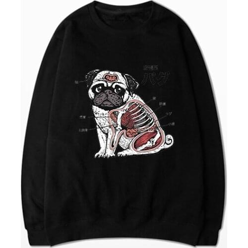 New Harajuku Kawaii Animal Anatomy Hooded Hoodie Sweatshirts Dog Cat Fox Parrot Hamster Cartoon Pullover Sweatshirt Streetwear