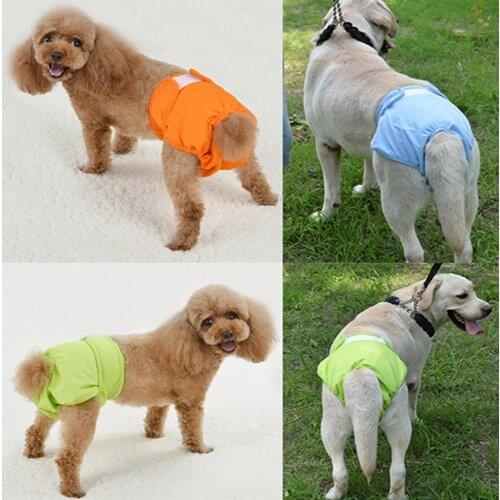 Pet Female Doggie Physiological Pants Sanitary Diaper 2019 Washable Menstruation Underwear Briefs For Small Medium Pet Shorts