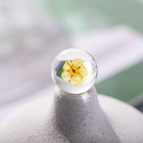 20# No-hook Solid Real Dried Flower Spherical glass Ball Without Hook Glass beads #GY427