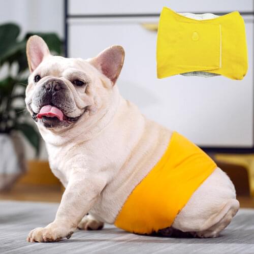 Absorbent Pet Dog Panties Washable Small Big Dog Dispers for Dogs Reusable Pets Physiological Pants Puppy Underwear Bragas Perro