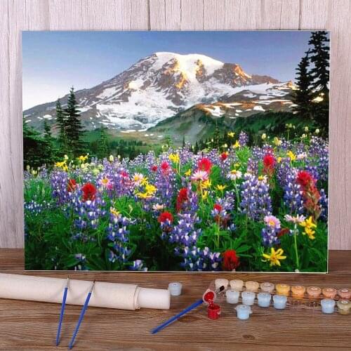 Flower Landscape Paint By Numbers Package Oil Paints 40*50 Canvas Painting Wall Paintings For Handiwork