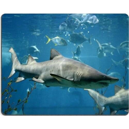 Roger Mouse Pad Natural Rubber Mousepad shark fish bull shark marine fish underwater