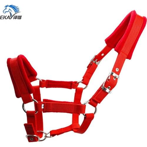 Free shipping PP webbing horse halter,silver color metal fittings.6MM thick webbing(BLT2000B)
