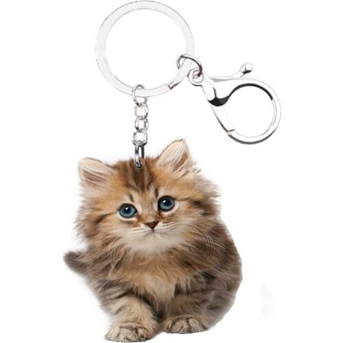 BritishLonghair cat cute keychain animal acrylic Not 3D drop charms boyfriends gifts idea chain silver keyring kawaii keychains