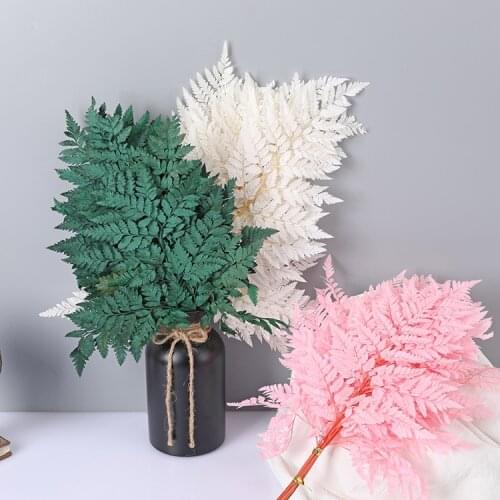 10Pcs Dried Flower Leaf Preserved Fresh Flower Alpine Sheep Tooth Leaf Flower Material Home Decoration Flower Leaf Bouquet