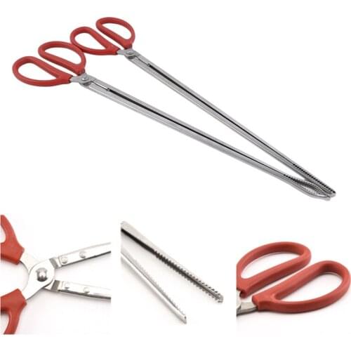 Pincers Loach Eel Crab Trap Fish Traps Carbon Clip Pliers Rat Pliers Loach Clamps Snake Cricket Clamp Razor Clamp Chest Lobster