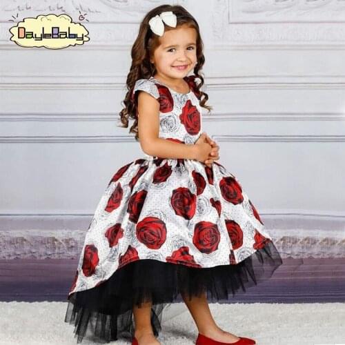 DAYLEBABY New Girls Printed Dress Mopping Dress Wedding European and American Style Rose Princess Dress Lace Flower Girl Costume