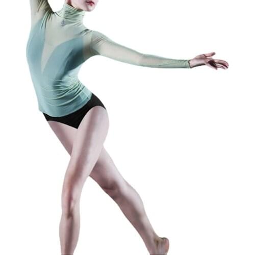 Quality Stretch Mesh Long Sleeve High Neck Dance Top Basic Women Autumn Winter Top Basic All Match Warm Accessories on Leotard