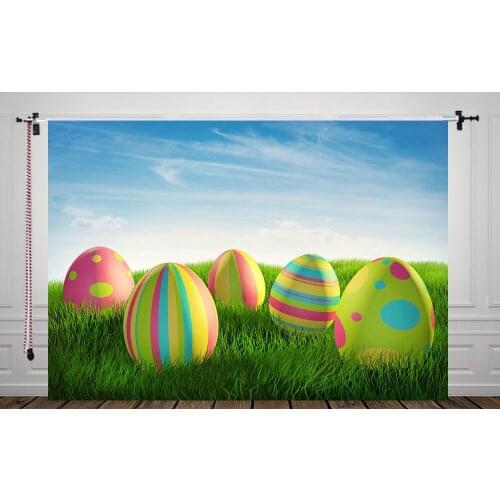5x7ft Backdrop for Easter Eggs Photography Backdrop Photo Backdrop Studio Background