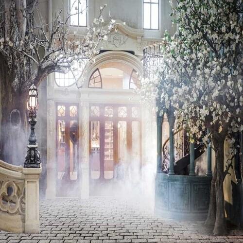 MEHOFOTO Vinyl Photography Background Retro Castle Computer Printed European Style Wedding Backdrops for Photo Studio CM-6582