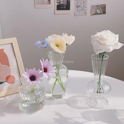 Glass Vases Tall Hydroponics Clear Flower Vase Jar Home Wedding Decoration