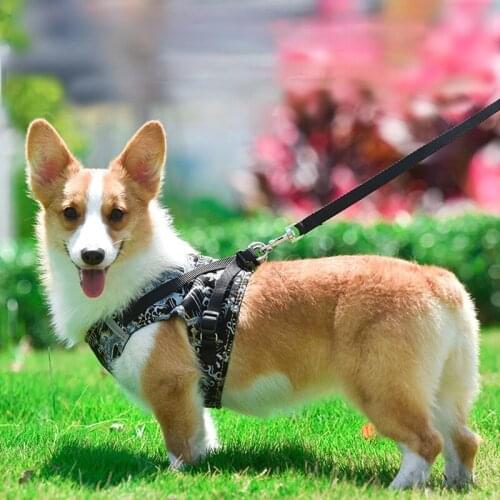 Pet Cat Reflective Breathable Comfortable Vest Style Chinese Dragon Pattern Chest Strap Traction Rope Durable Pet Supplies