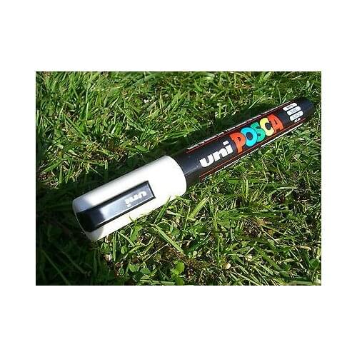 Beekeepers Queen marker pen - WHITE