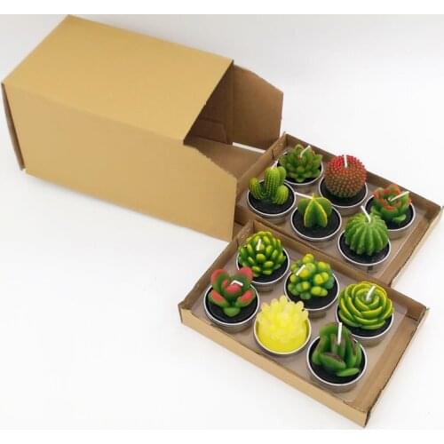 12pcs Cactus Tealight Candle Handmade Long Burning Delicate Succulents Tea Light Candle Holder Party Wedding Spa Home Decoration