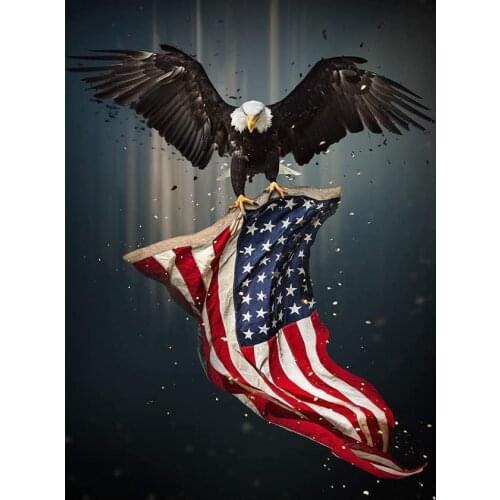 JMINE Div 5D eagle american flag Full Diamond Painting cross stitch kits art High Quality Animal 3D paint by diamonds