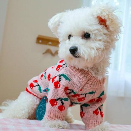 Pet Dog Clothes Keep Warm In Winter Cherry Print Dog Sweaters Clothing Chihuahua Pug Knitting Pet Outfit For Small Medium Dogs