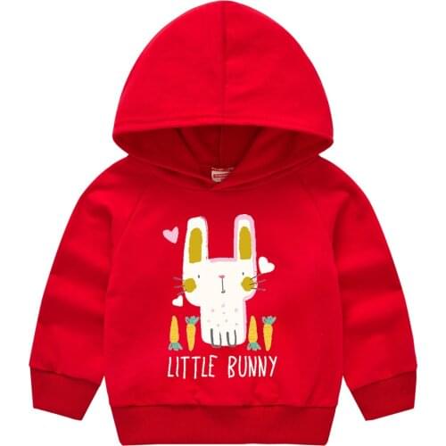 Spring Autumn Hoodie Sweatshirt Childrens Clothing Kids Hooded Clothes Cartoon Printed Casual Boys Girls Sweater 2-6 Years Old