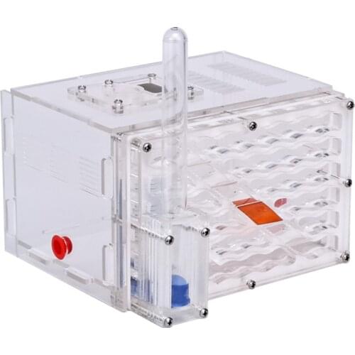 DIY Moisture with Feeding Area Ant Nest,Ant Farm Acrylic,Insect Ant Nests Villa New Pet Advanced Mania for House Ants