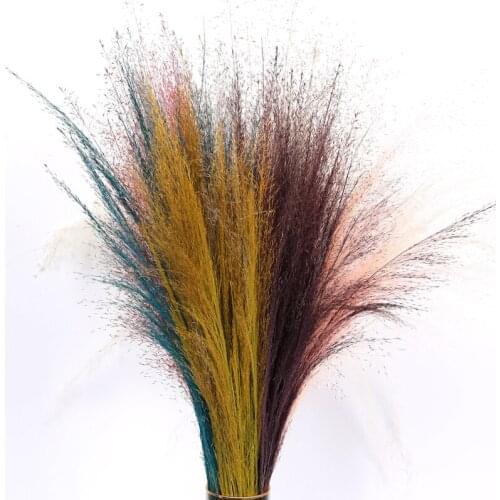 50pcs Pink Daisy Chaotic Grass Long-Term Natural Preserved Dried Flower Photograph Home Wedding Countryard Garden Decoration