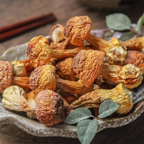 250g/500g Dried Mushroom Agaricus Blazei Organic Yellow Mushrooms