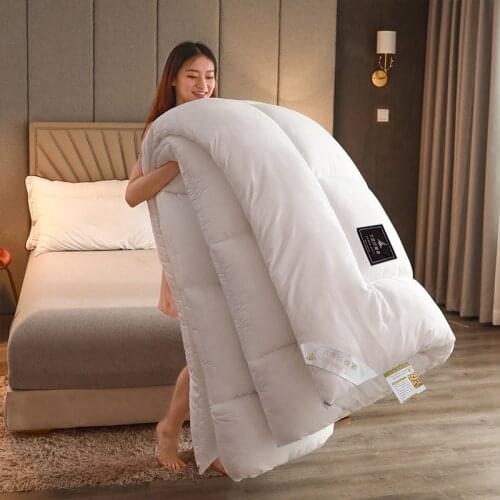 Cotton Bed White Comforter Keep Warm The Quilt Core Thickening Warm Winter Quilt King Size Blankets