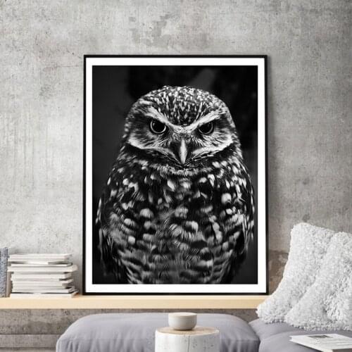 Wall Art Canvas Painting Black White Pictures Owl Animal Prints Nordic Style Simple Modular Poster For Bedroom Home Decoration
